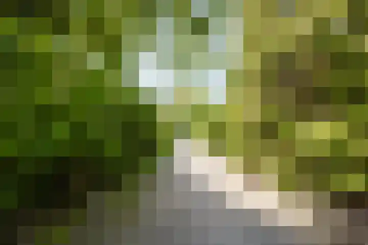 IJsbloempad 11 Spijkenisse thumbnail 7