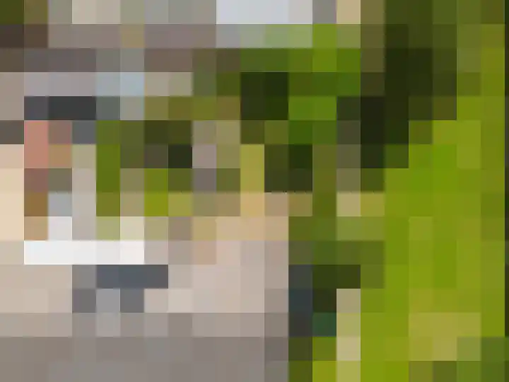 IJsbloempad 11 Spijkenisse thumbnail 8