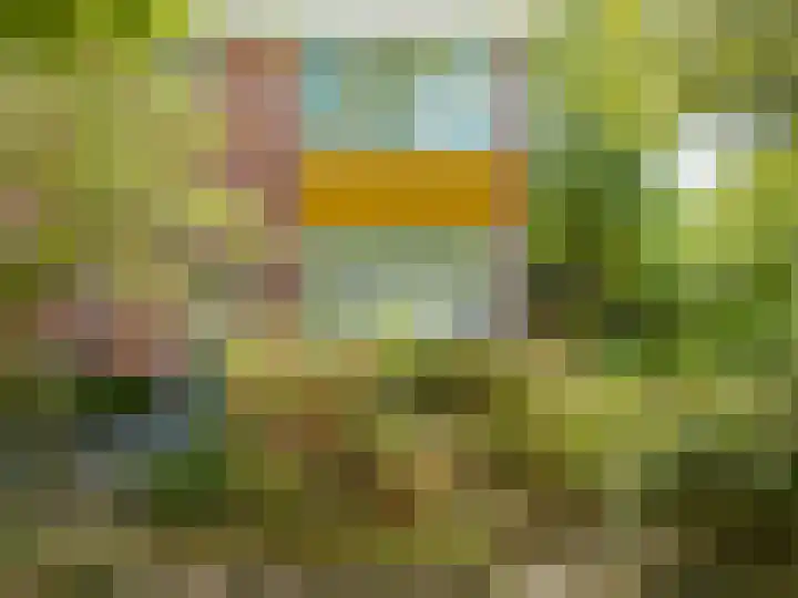 IJsbloempad 11 Spijkenisse thumbnail 9