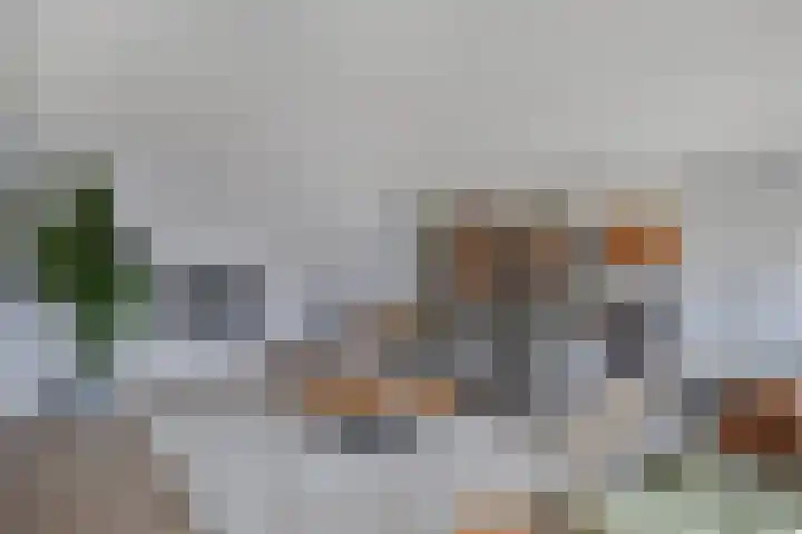 IJsbloempad 16 Swifterbant thumbnail 10