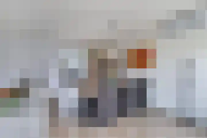 IJsbloempad 16 Swifterbant thumbnail 12