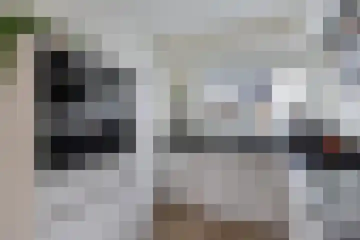 IJsbloempad 16 Swifterbant thumbnail 14