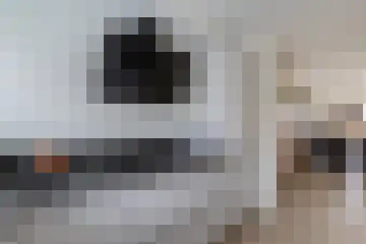 IJsbloempad 16 Swifterbant thumbnail 16