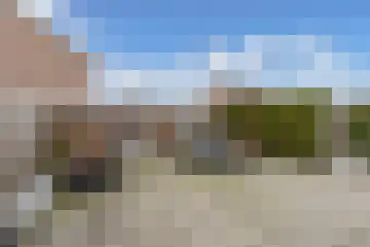 IJsbloempad 16 Swifterbant thumbnail 18