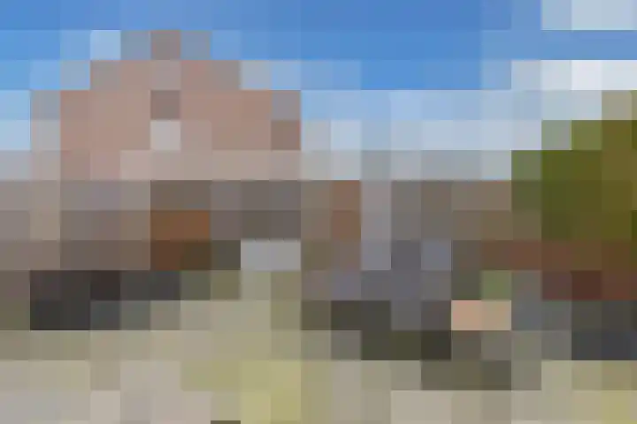 IJsbloempad 16 Swifterbant thumbnail 19