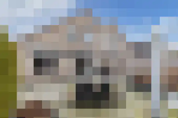 IJsbloempad 16 Swifterbant thumbnail 20