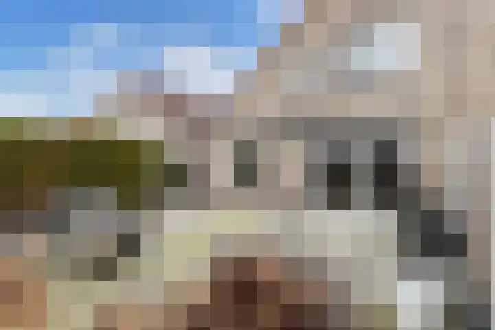 IJsbloempad 16 Swifterbant thumbnail 21