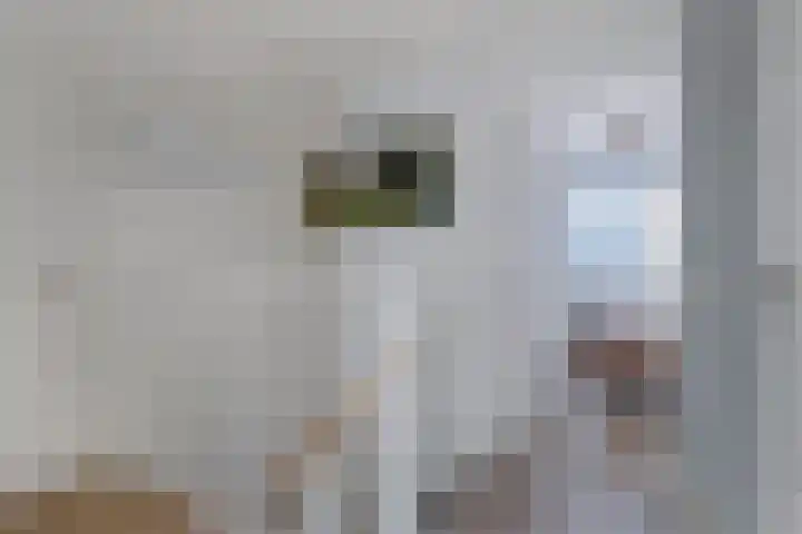 IJsbloempad 16 Swifterbant thumbnail 23