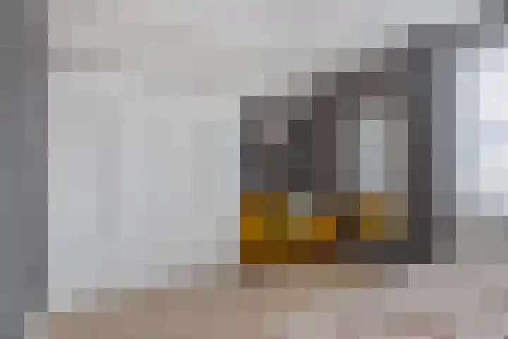 IJsbloempad 16 Swifterbant thumbnail 26