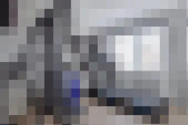 IJsbloempad 16 Swifterbant thumbnail 27