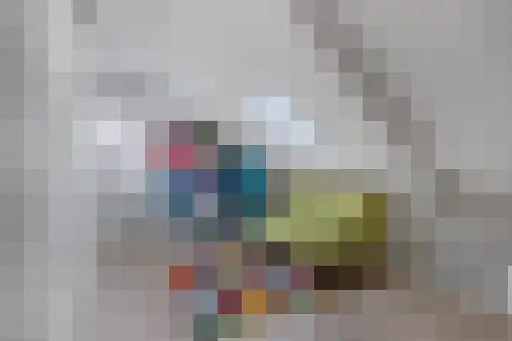 IJsbloempad 16 Swifterbant thumbnail 28