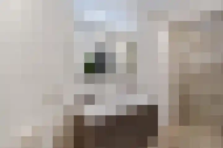 IJsbloempad 16 Swifterbant thumbnail 31