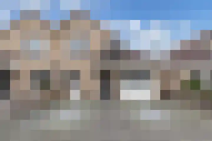 IJsbloempad 16 Swifterbant thumbnail 33