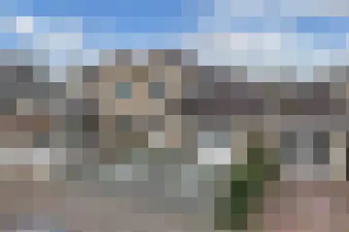 IJsbloempad 16 Swifterbant thumbnail 34
