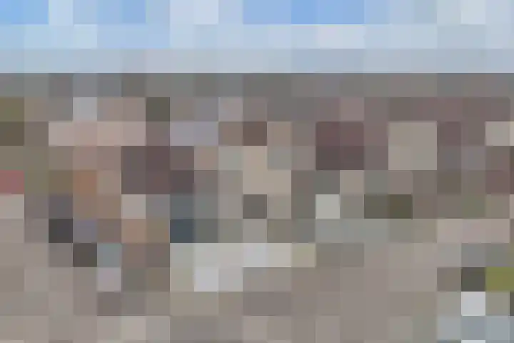 IJsbloempad 16 Swifterbant thumbnail 35