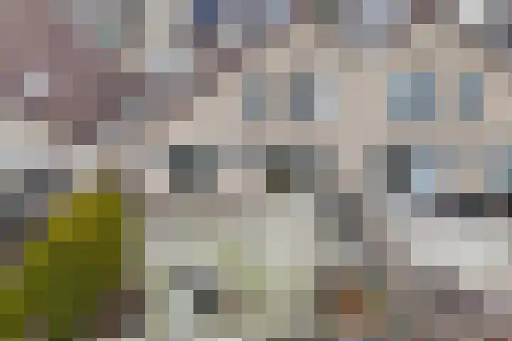 IJsbloempad 16 Swifterbant thumbnail 36