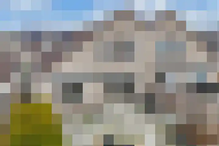 IJsbloempad 16 Swifterbant thumbnail 37