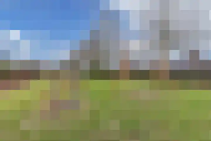 IJsbloempad 16 Swifterbant thumbnail 38