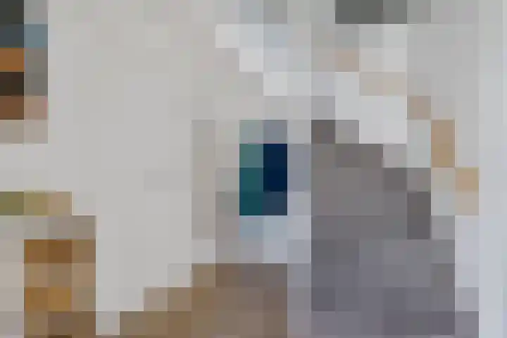 IJsbloempad 16 Swifterbant thumbnail 4
