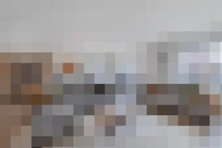 IJsbloempad 16 Swifterbant thumbnail 9