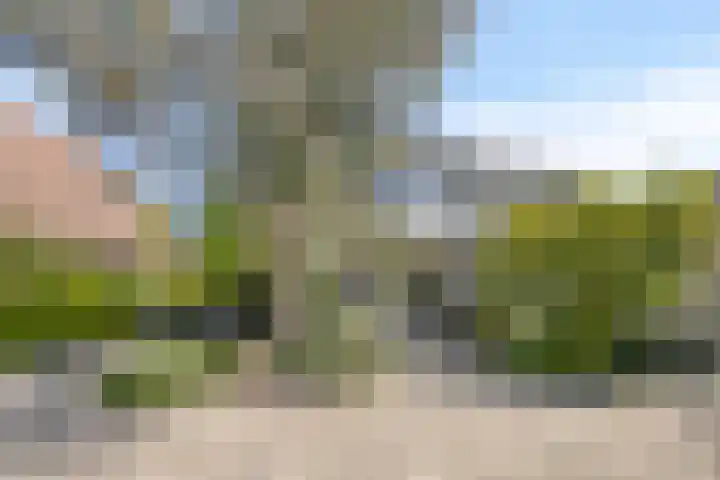 IJsbout 23 Zetten thumbnail 10