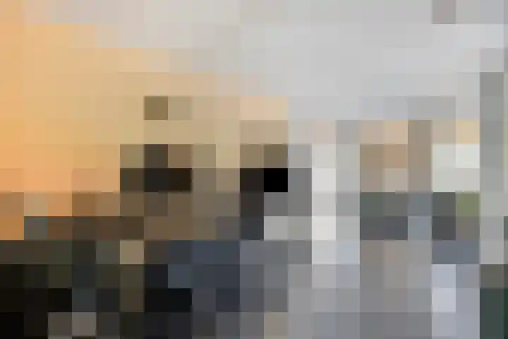 IJsbout 23 Zetten thumbnail 24
