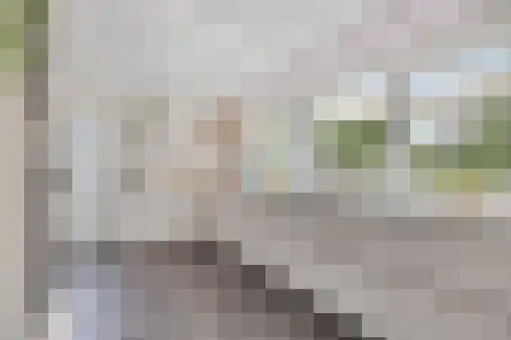 IJsbout 23 Zetten thumbnail 26