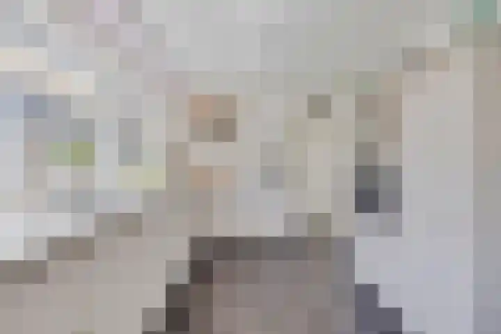 IJsbout 23 Zetten thumbnail 28