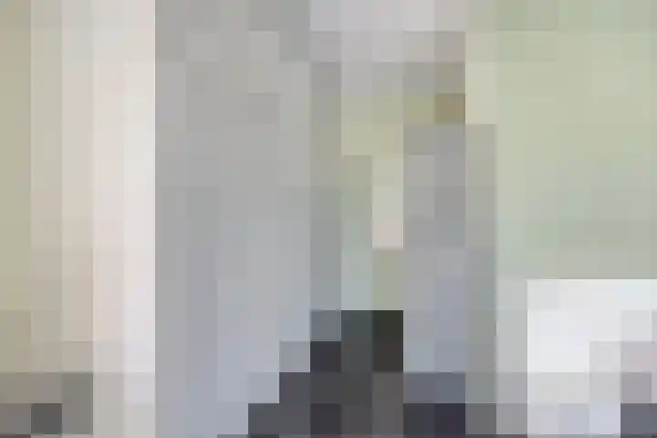IJsbout 23 Zetten thumbnail 31