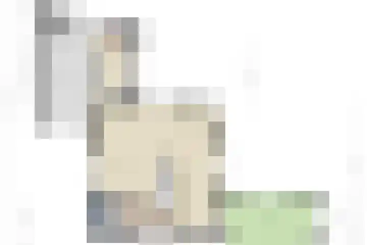 IJsbout 23 Zetten thumbnail 36