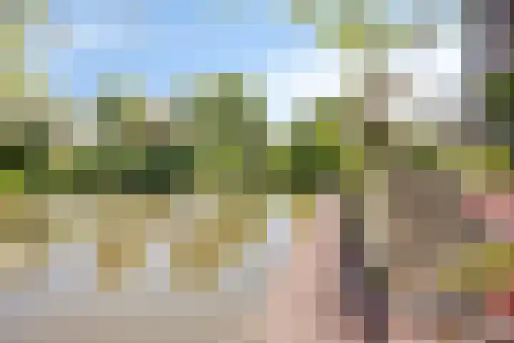 IJsbout 23 Zetten thumbnail 4
