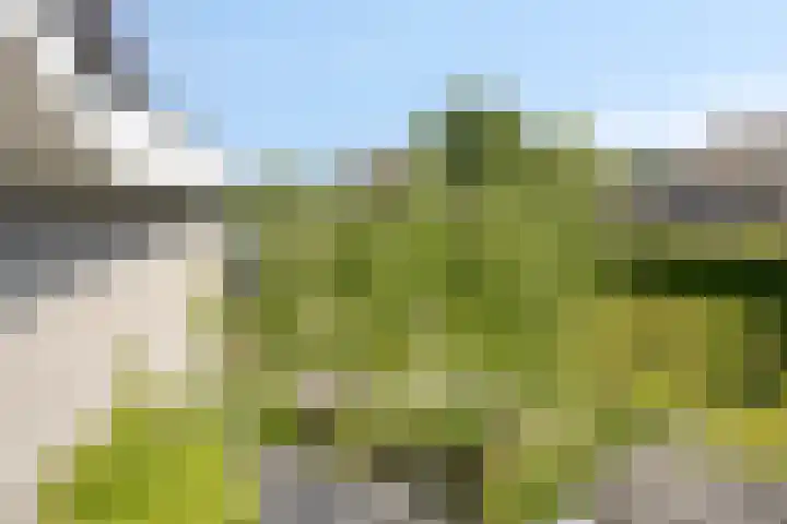 IJsbout 23 Zetten thumbnail 42