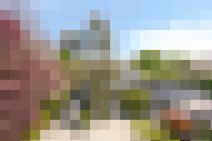 IJsbout 23 Zetten thumbnail 5