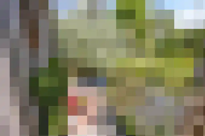 IJsbout 23 Zetten thumbnail 56