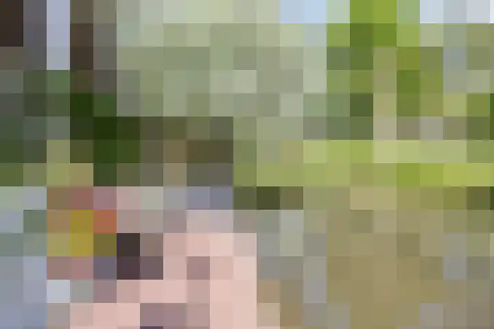 IJsbout 23 Zetten thumbnail 57