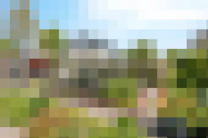 IJsbout 23 Zetten thumbnail 60