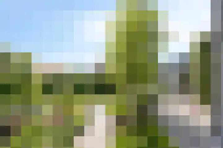 IJsbout 23 Zetten thumbnail 65