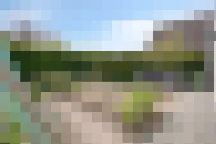 IJsbout 23 Zetten thumbnail 69
