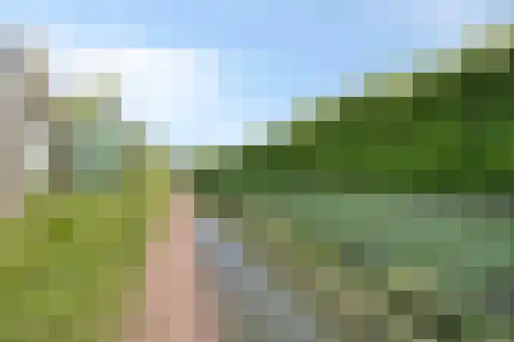 IJsbout 23 Zetten thumbnail 70