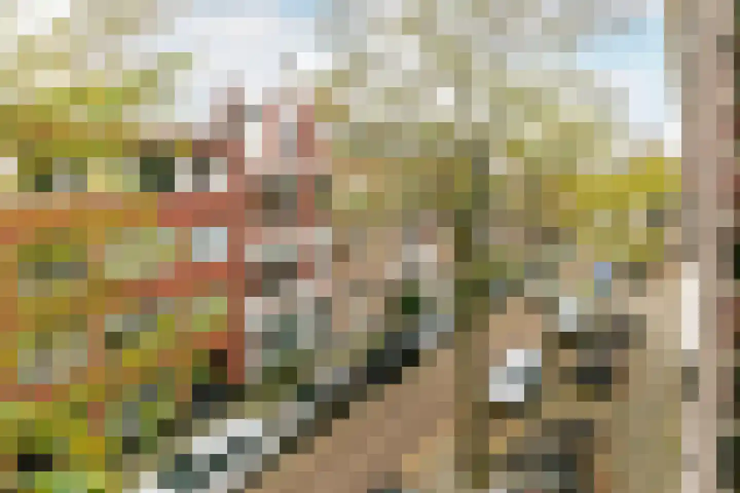 IJsclubstraat 15 A 02 Rotterdam thumbnail 9