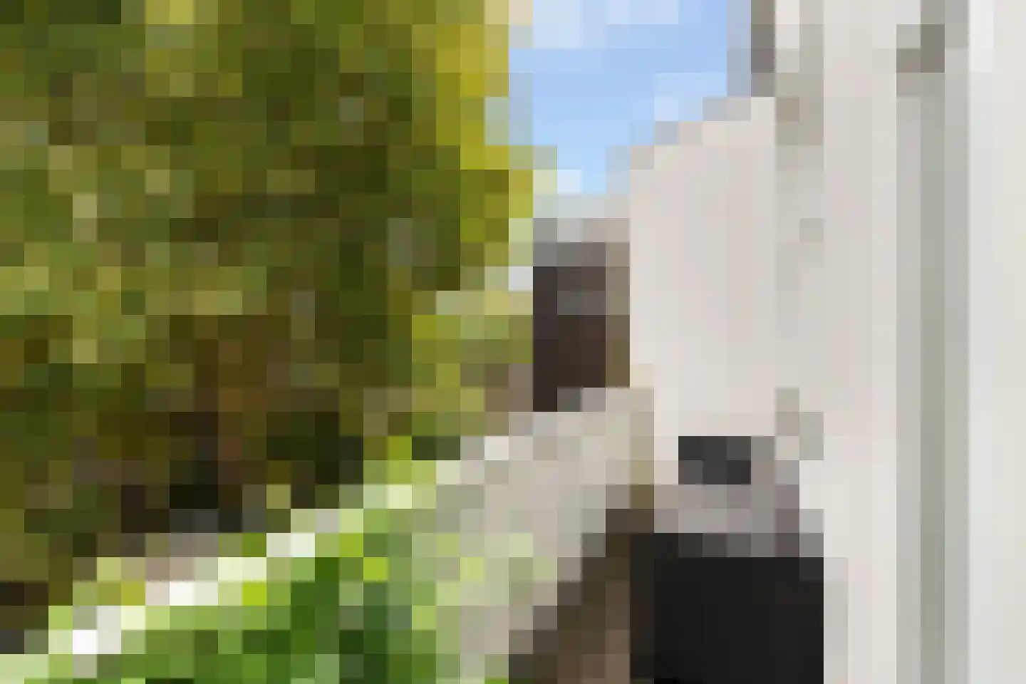 IJsclubstraat 36 A Rotterdam thumbnail 22