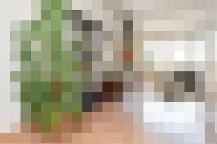 IJsclubweg 8 Den Haag thumbnail 9