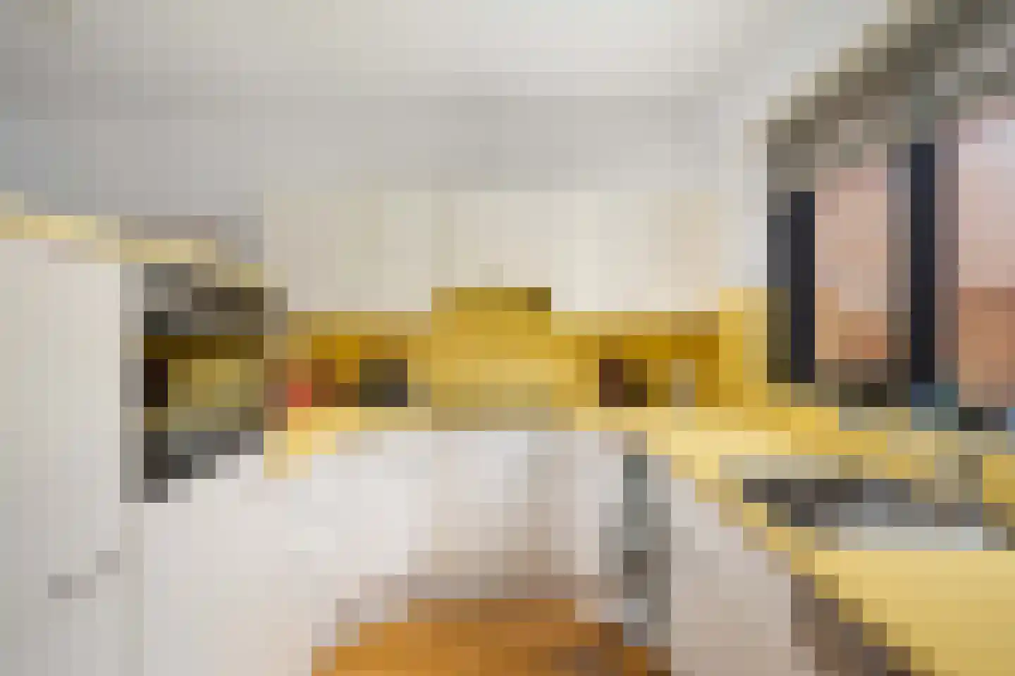 IJsdans 25 Capelle aan den IJssel thumbnail 13