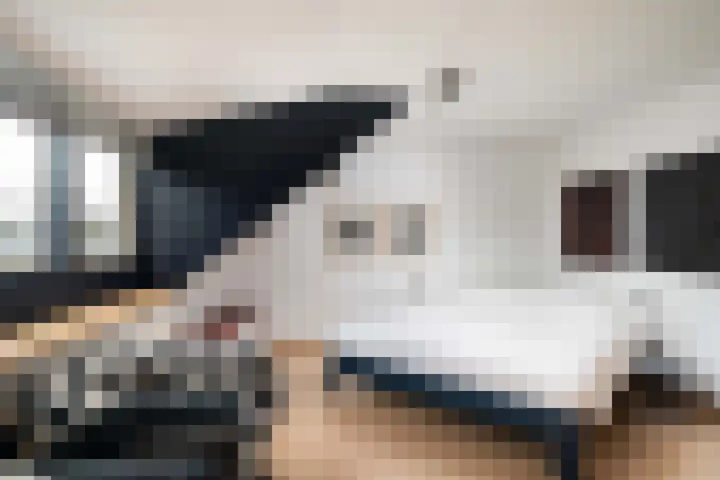 IJsdans 25 Capelle aan den IJssel thumbnail 17