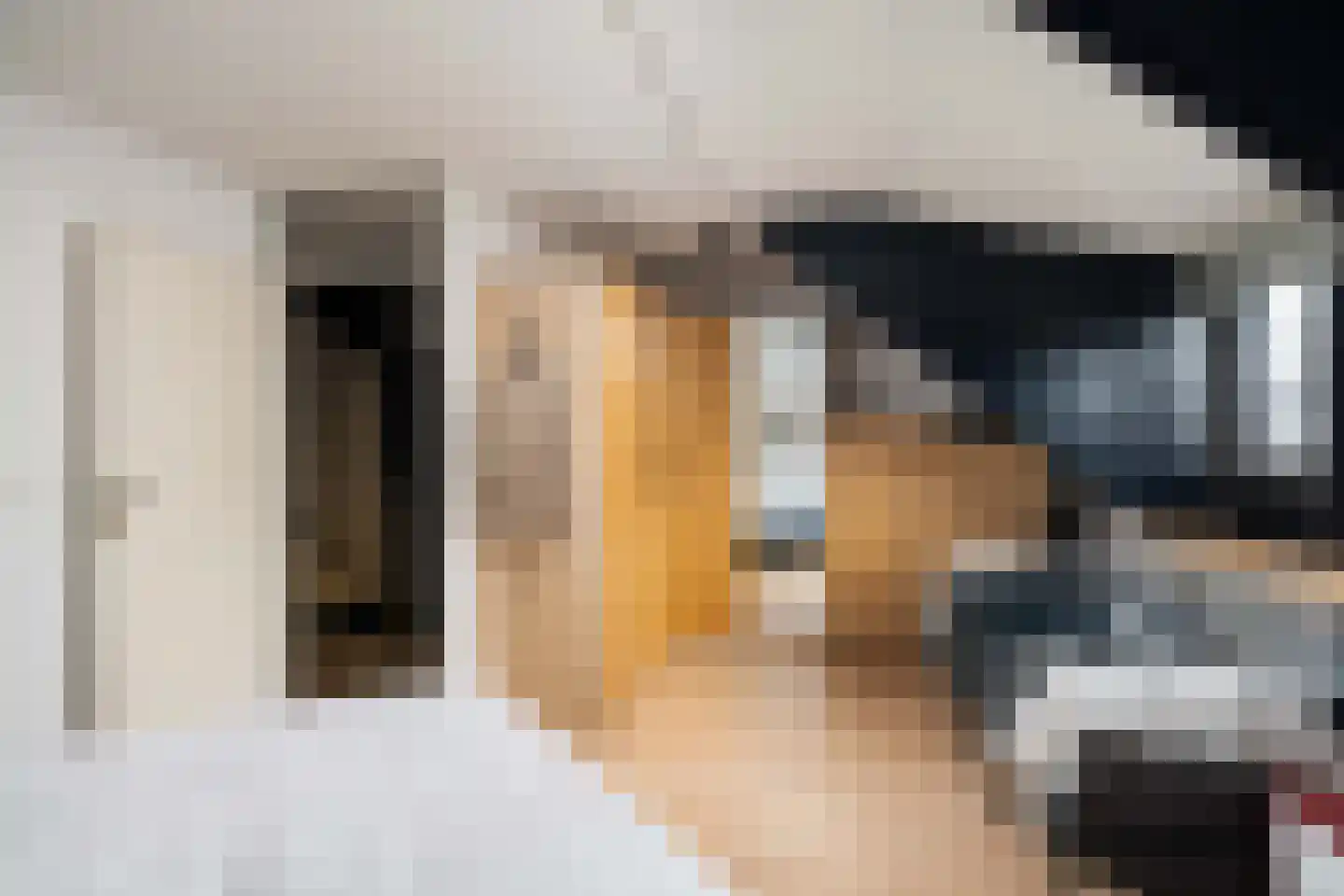 IJsdans 25 Capelle aan den IJssel thumbnail 18