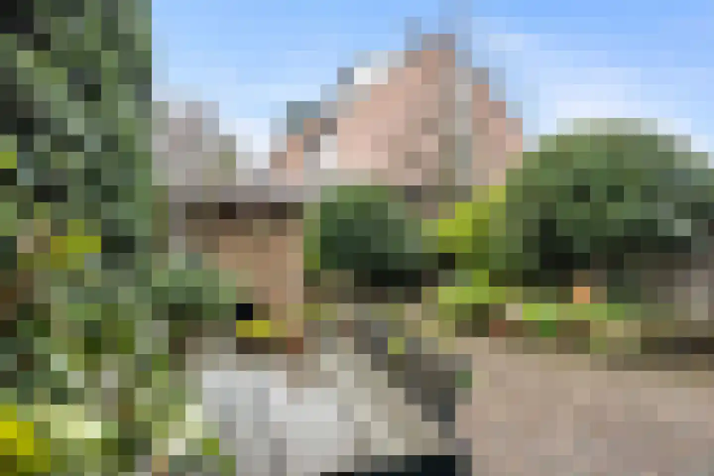 IJsdans 25 Capelle aan den IJssel thumbnail 28