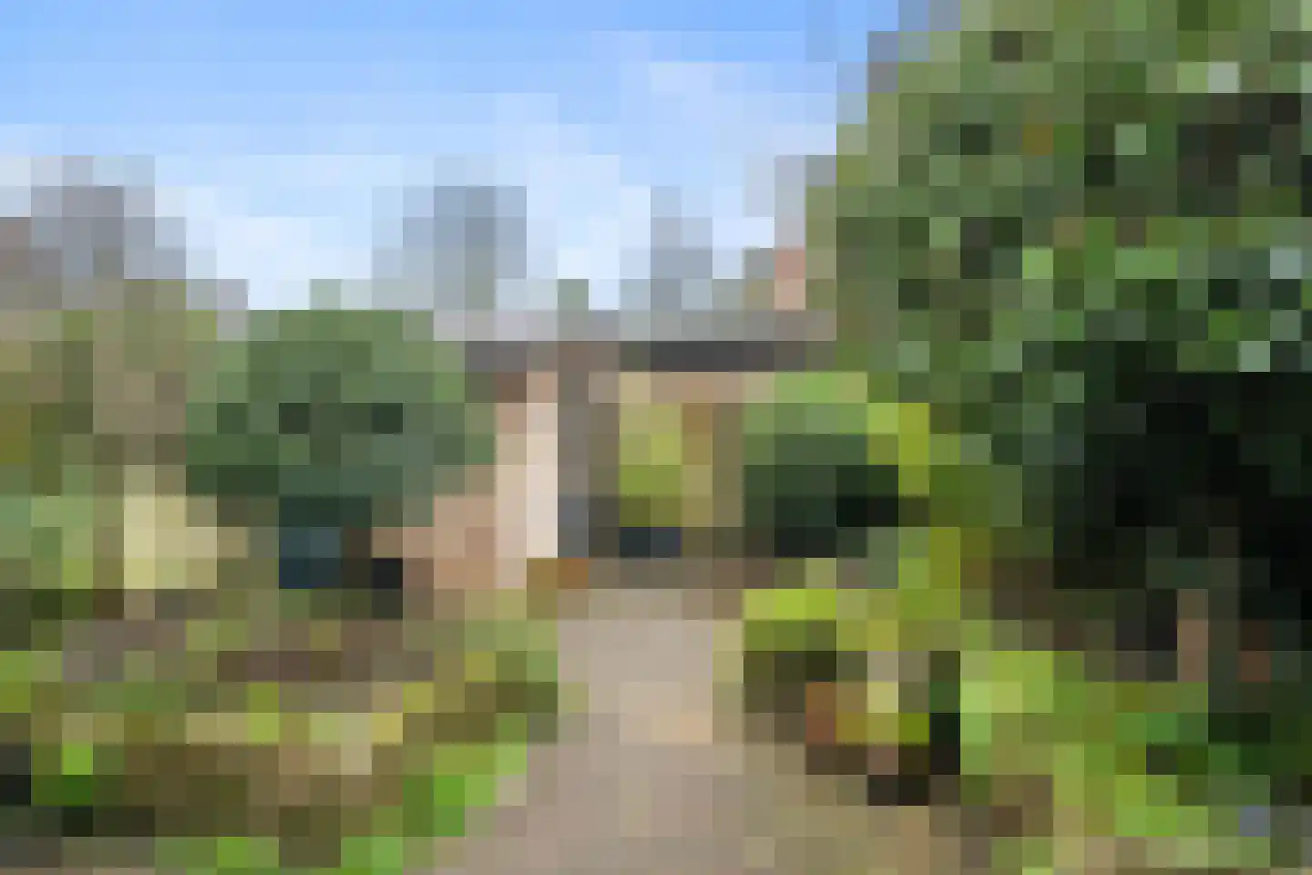 IJsdans 25 Capelle aan den IJssel thumbnail 29