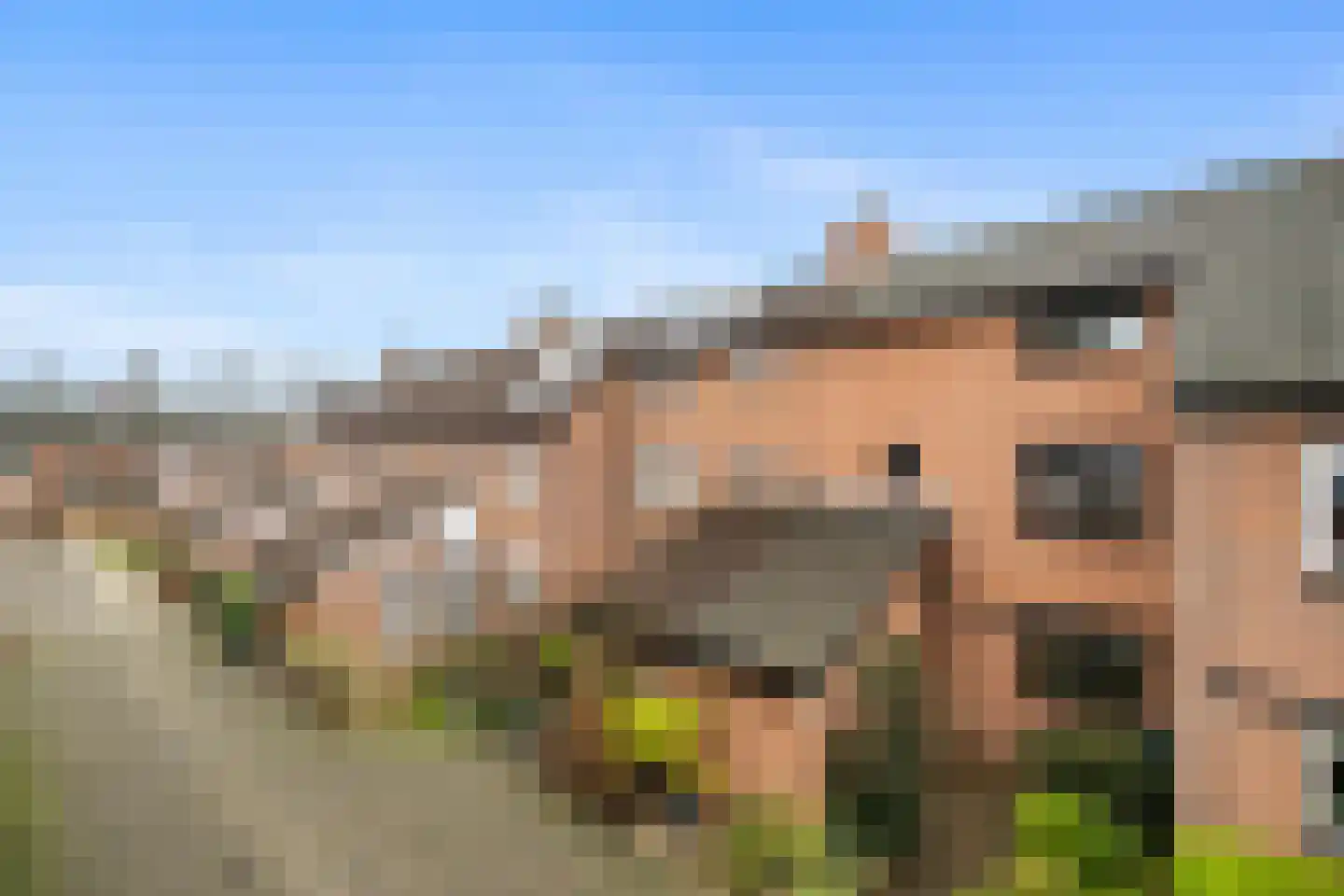 IJsdans 25 Capelle aan den IJssel thumbnail 32