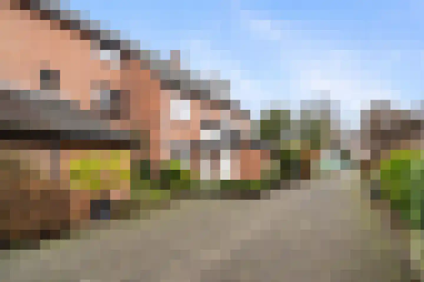 IJsdans 25 Capelle aan den IJssel thumbnail 33