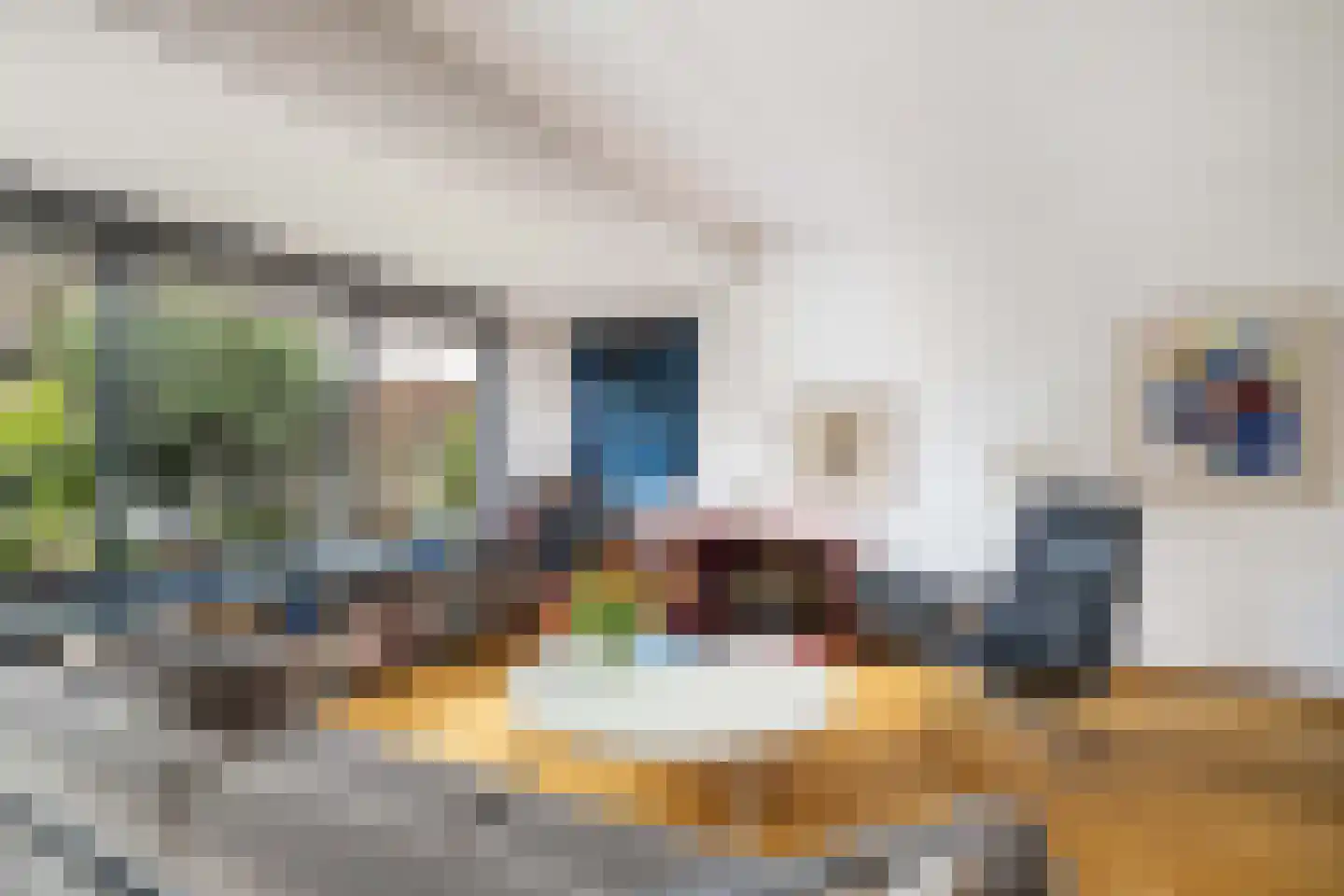 IJsdans 25 Capelle aan den IJssel thumbnail 5